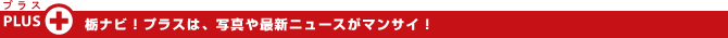 栃ナビプラスは写真や最新ニュースがマンサイ