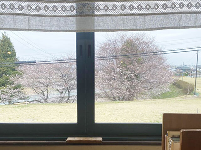 【宇都宮市】春爛漫！窓から桜を眺めながら贅沢なランチタイム（CAFE KENZO SUN）