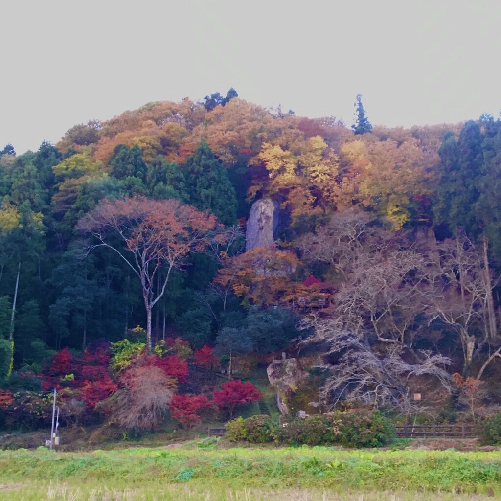堂の下岩観音 那須町の神社・仏閣・教会・植物園・花|栃ナビ! 堂の下岩観音 那須町の神社・仏閣・教会・植物園・花|栃ナビ!