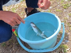 息子と、午前中...