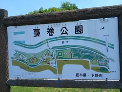 紫陽花の品種...