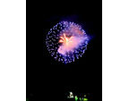 今年も日光花火...