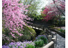 上三川城址公園