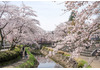 行屋川水辺公園