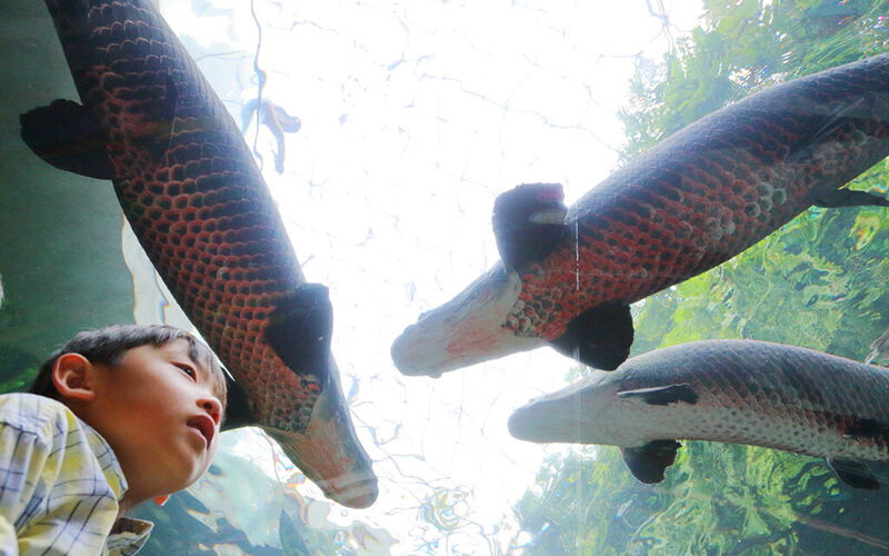 栃木県なかがわ水遊園周辺