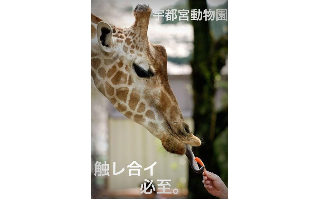 宇都宮動物園周辺