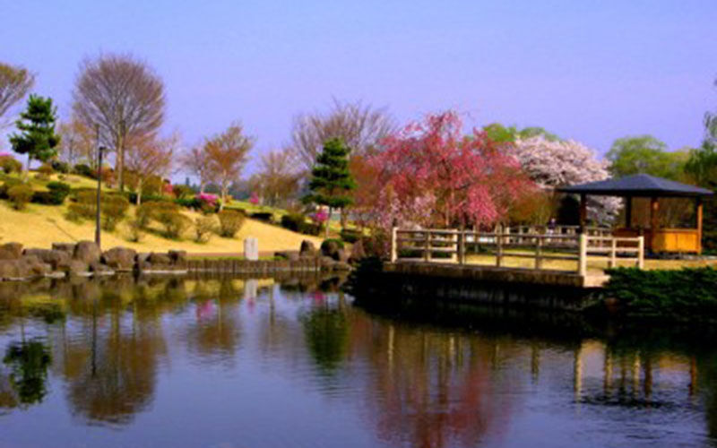 那珂川河畔公園周辺特設コース