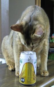 まさぼ