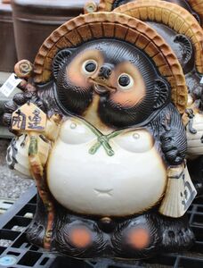 山奥のたぬき