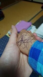 紫緒梨