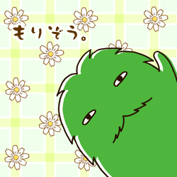 もりぞう