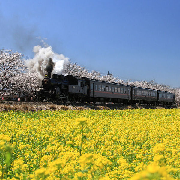 栃木でSL機関車が見られるスポット＆絶景スポット17選