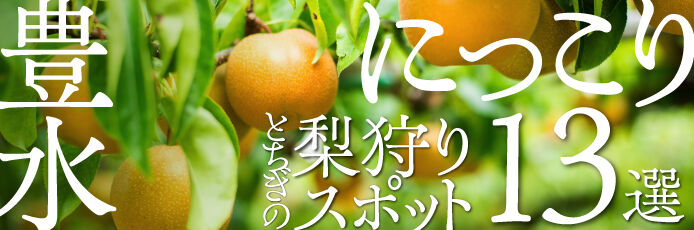 タイトル画像