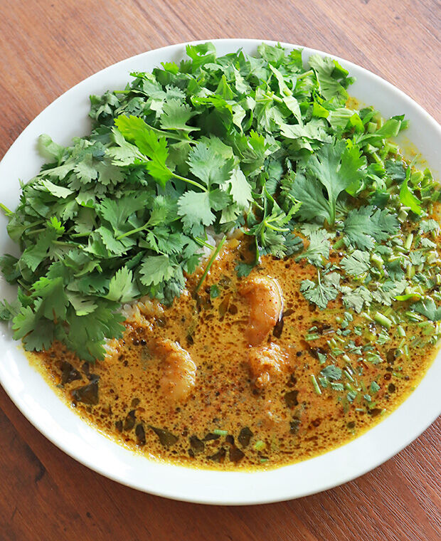 インパクト大 山盛りパクチーの爽快エビカレー スパイスカレー 栃ナビ インパクト大 山盛りパクチーの爽快エビカレー スパイスカレー 栃ナビ