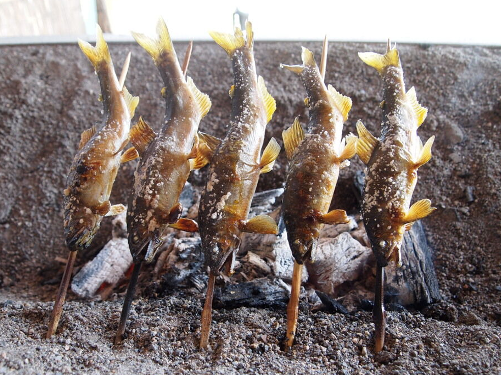 <b>【6月1日～7月17日期間限定】定食をご注文で鮎塩焼きを1尾プレゼント！／岡本観光やな</b>