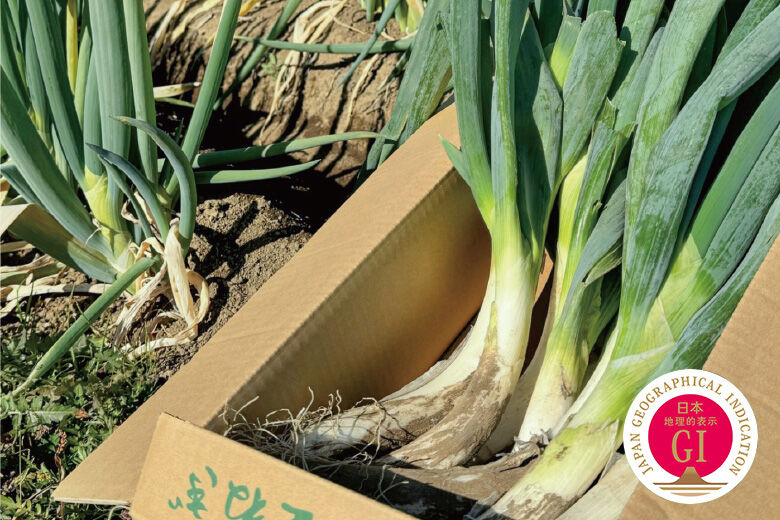 <b>【50名様】宇都宮産新里ねぎ(1kg)</b> <b>【50名様】宇都宮産新里ねぎ(1kg)</b>