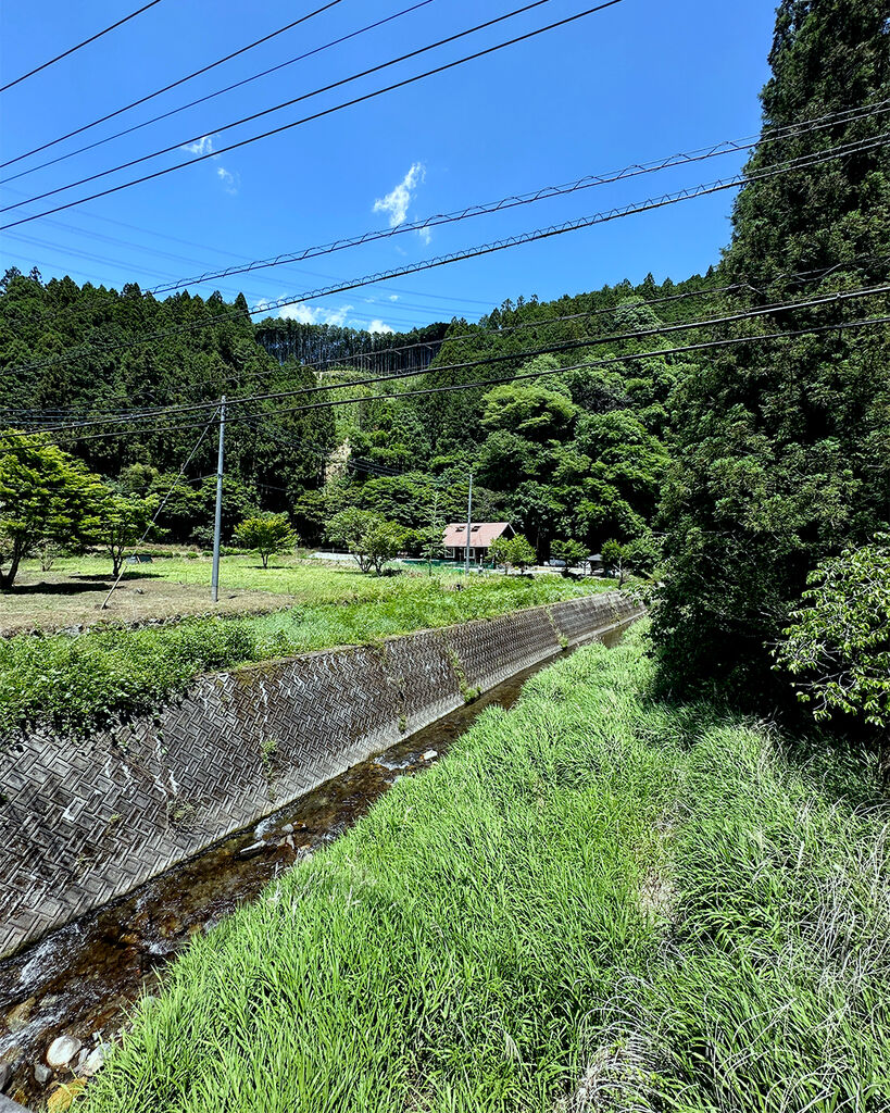 あのログハウスだ!!! あのログハウスだ!!!