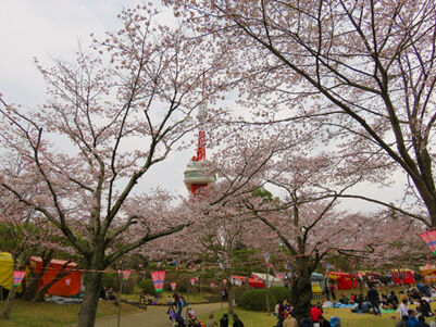 宇都宮エリア