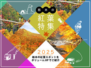 栃木の人気紅葉スポット2025
