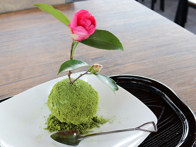 季節花を愛でながらいただく、絶品苔玉スイーツ