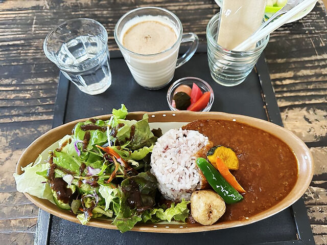 【高根沢町】愛犬とベジカレーとわんちゃんランチ（dog run+cafe slow）