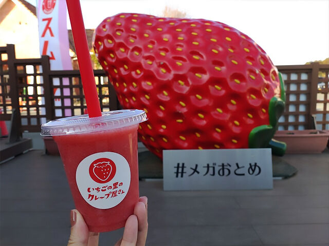 【小山市】食べ放題で大満足のいちご狩り体験！（スローライフリゾート いちごの里）