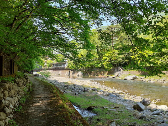 【那須塩原市】穏やかな時間を過ごすキャンプ旅の極上の散策スポット（箒川）