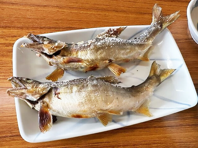 【大田原市】鮎の美味しさと川の涼しさ、家族と楽しむ夏の味わい（黒羽観光やな）