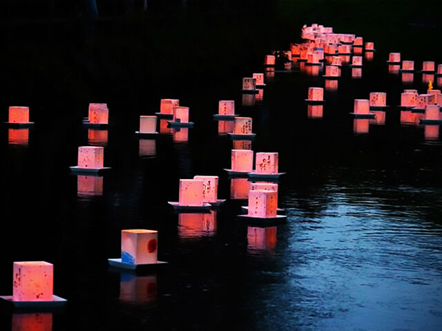 【真岡市】静寂に願いを託す、想いを運ぶ灯ろう流し（行屋川水辺公園）