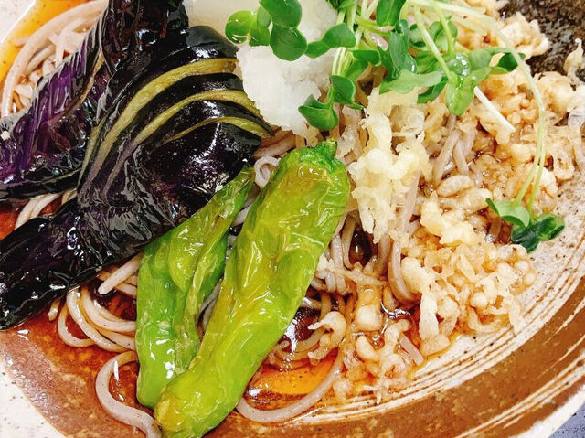 【日光市】新鮮な夏野菜と極上のおろし蕎麦、心と舌を満たす至福ランチ（報徳庵）