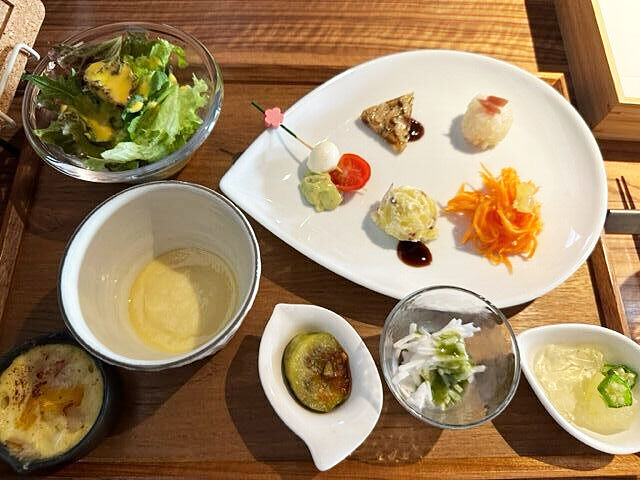 【宇都宮市】11種類の前菜トレーが凄かった！（てっとう茶屋 UKAWA）