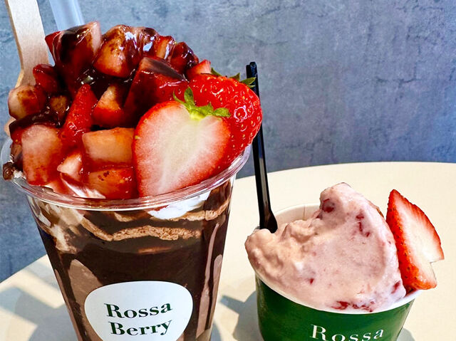 【宇都宮市】イチゴ好きにはたまない限定の4種類食べ比べセット（Rossa Berry）
