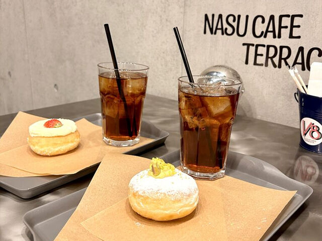 【那須町】おしゃれ空間と絶品ふわふわドーナツ（Nasu cafe terrace V8）