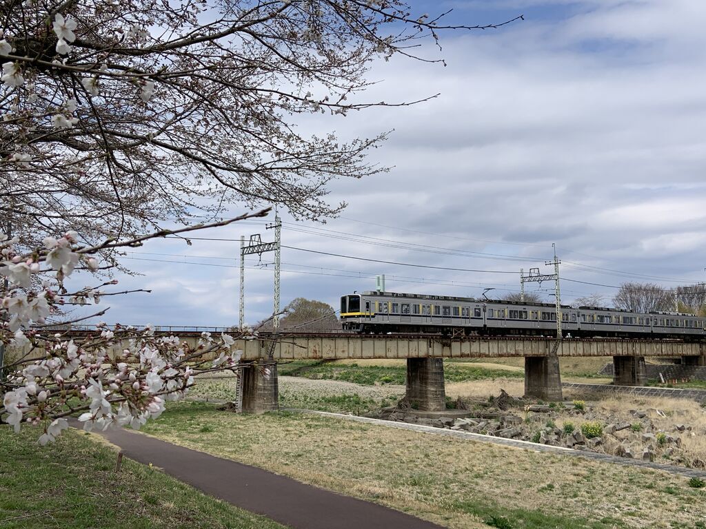 【壬生町】春爛漫へカウントダウン♪桜と電車（壬生町東雲公園）