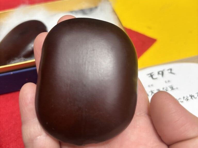 【栃木市】ん？豆！？☆木の実とタネの魅力がいっぱい（とちぎ花センター）