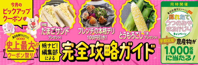 【宇都宮市史上最大の!?クーポン祭り】栃ナビ！編集部による、完全攻略ガイド