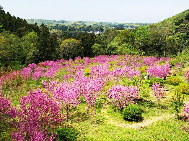 5月1日～5月10日