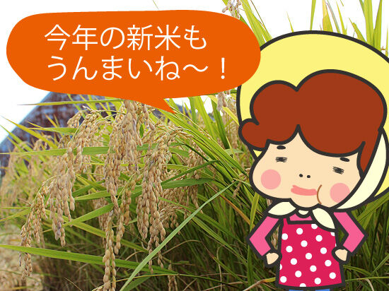 【いかんべ定食Project】秋の食材検証！
