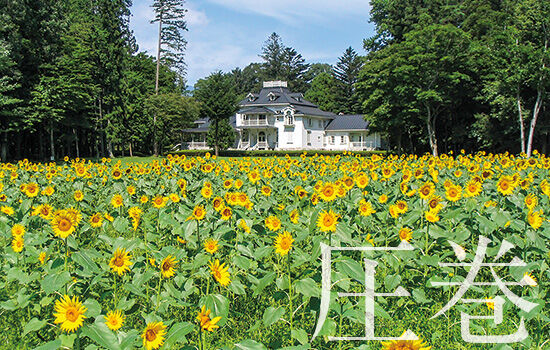 オトナの夏休み