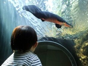 動物園・水族館