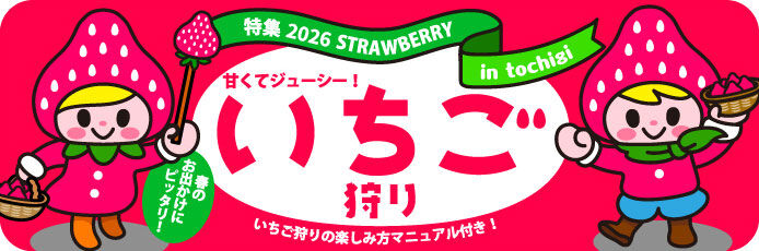 栃木のいちご狩り特集2026