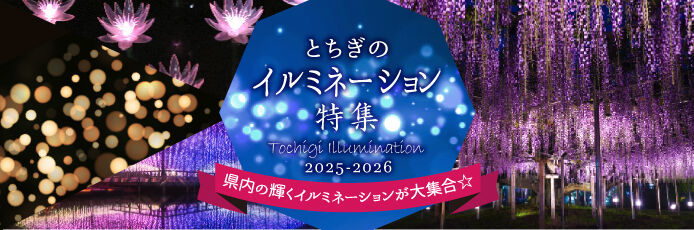 栃木のイルミネーション特集2025-2026