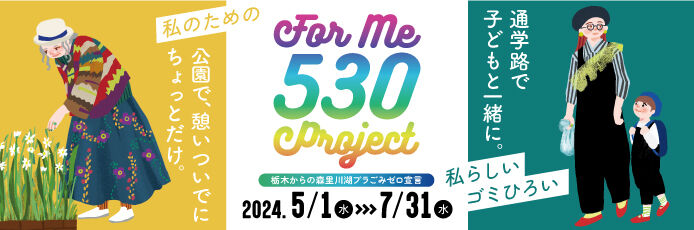 For me 530 project 