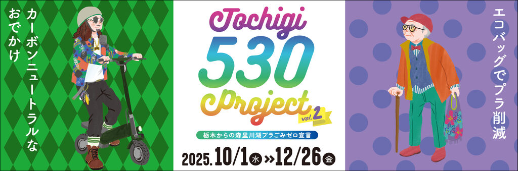 Tochigi 530 Project