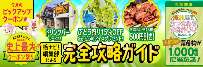 【宇都宮市史上最大の!?クーポン祭り】栃ナビ！編集部による、完全攻略ガイド