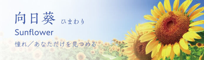 栃木県のひまわりのスポット 見所情報 栃木の花特集 栃ナビ