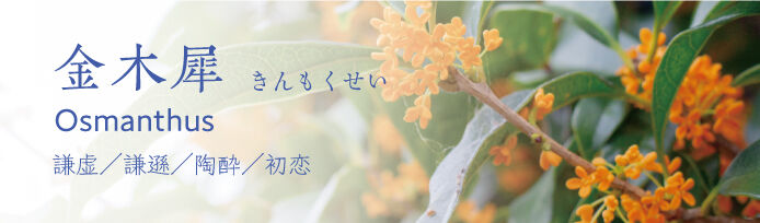 栃木県のキンモクセイのスポット 見所情報 栃木の花特集 栃ナビ