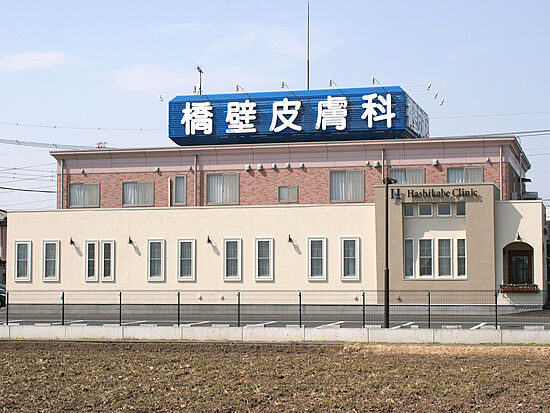 橋壁皮膚科 皮膚科 宇都宮市 栃ナビ 橋壁皮膚科 皮膚科 宇都宮市 栃ナビ