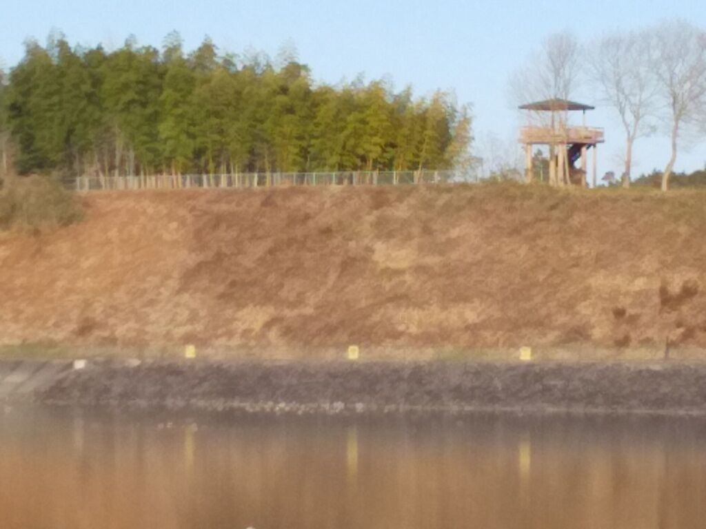 芳那の水晶湖 市貝町の湖沼 樹木 栃ナビ