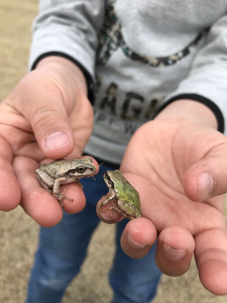 ぴなぷさんからとちぎわんぱく公園への投稿クチコミ 栃ナビ